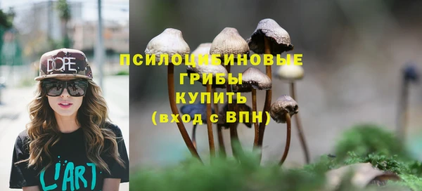 экстази Белокуриха