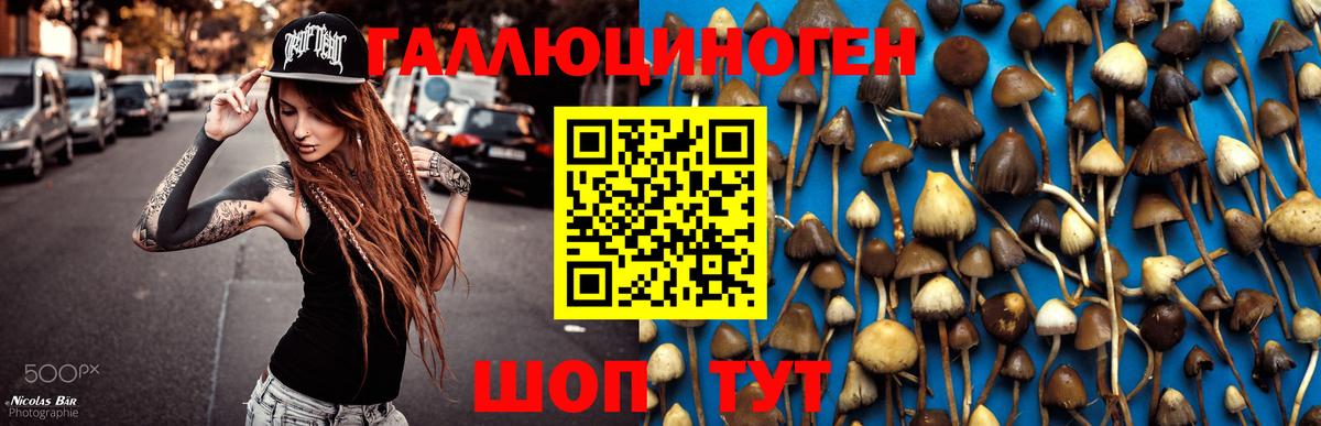 Калуга  Галлюциногенные грибы Magic Shrooms  Вход с VPN 